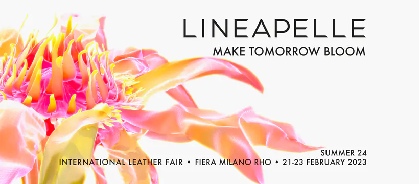 linea-pelle-news